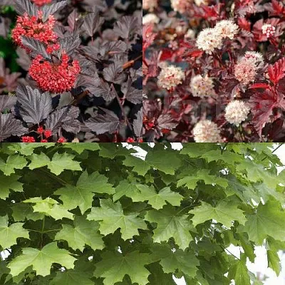 Комплект ОСЕННИЙ КОСТЕР в Краснодаре