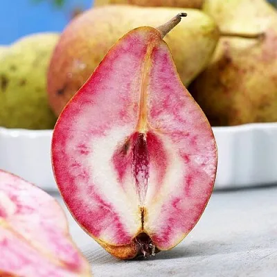 Груша БЛЮТБЕРН в Краснодаре