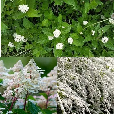 Комплект СКАНДИНАВСКИЙ СТИЛЬ в Краснодаре