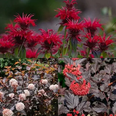 Комплект ОГНЕННЫЙ МИКС в Краснодаре