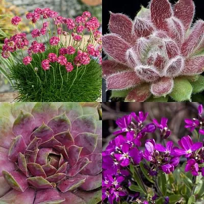 Комплект МИНИ САД в Краснодаре