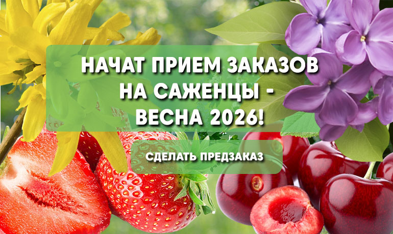 Открыт приём заказов на сезон весна 2026 Открыт приём заказов на сезон весна 2026